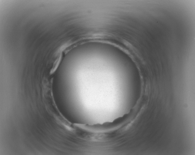 X0000082161449200701262322