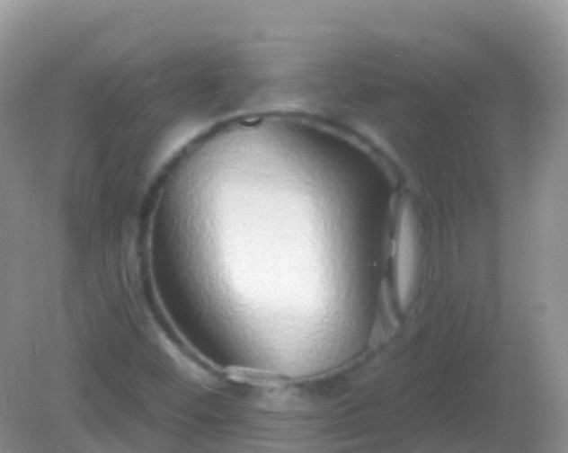 X0000082161452200701262322