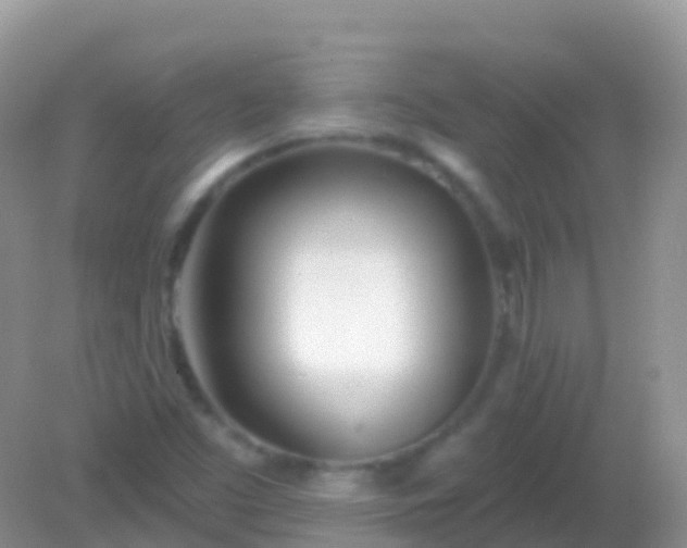 X0000082161453200701262322