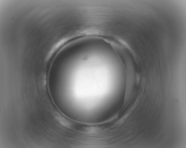 X0000082161461200701262322