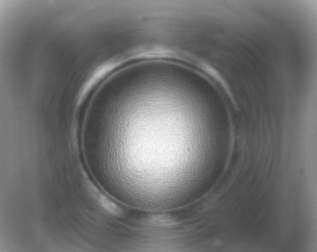 X0000082161464200701262321