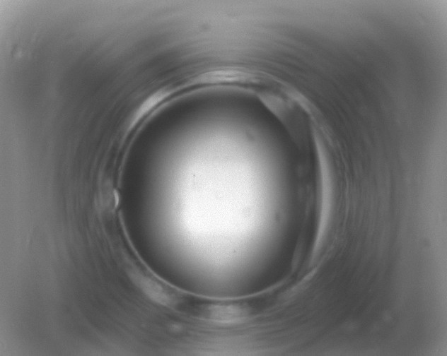 X0000082161465200701262321