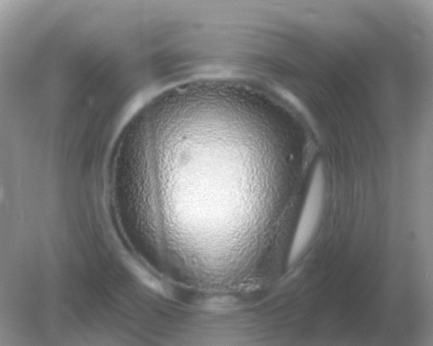 X0000082161467200701262321