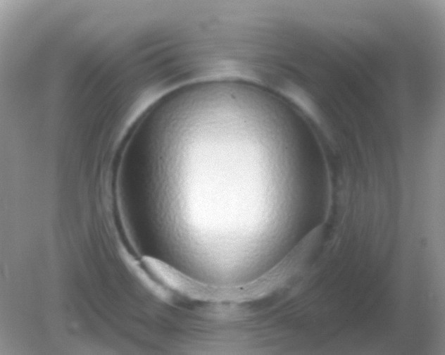 X0000082161468200701262321