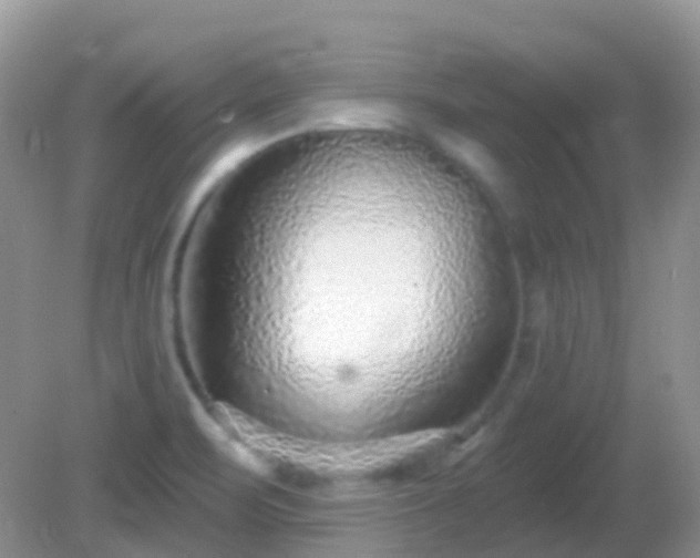 X0000082161471200701262321