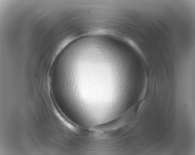X0000082161476200701262321