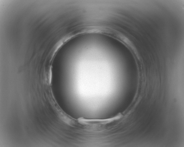 X0000082161481200701262321
