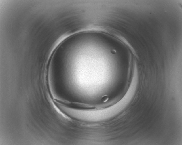 X0000082161484200701262321