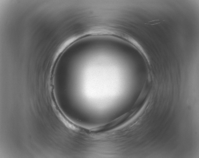 X0000082161485200701262321