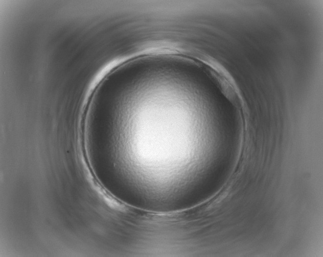X0000082161488200701262321