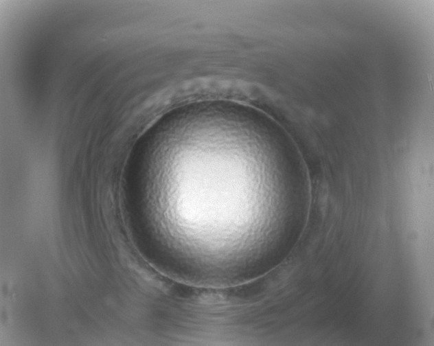 X0000082161489200701262320