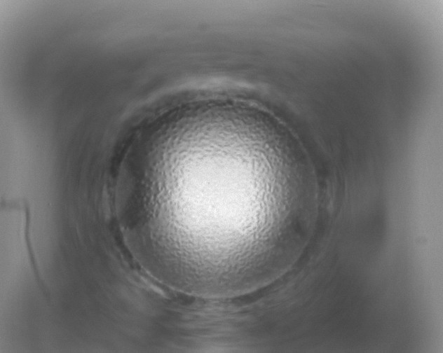 X0000082161493200701262320
