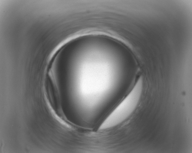 X0000082161518200701262321