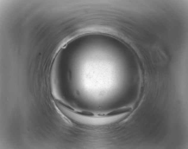 X0000082161529200701262321