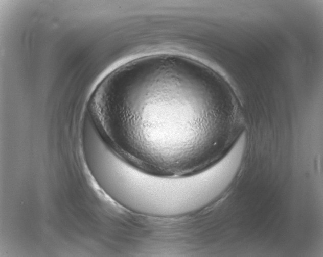 X0000082161534200701262321
