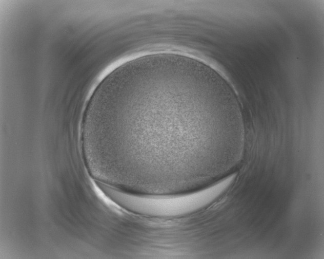 X0000082161535200701262321