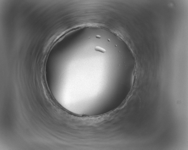 X0000082160001200702021713