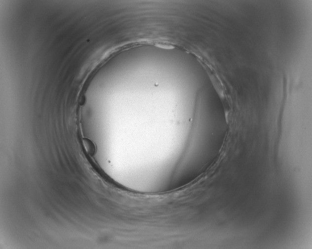 X0000082160002200702021713