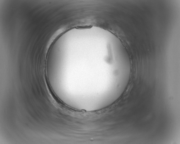 X0000082160003200702021713