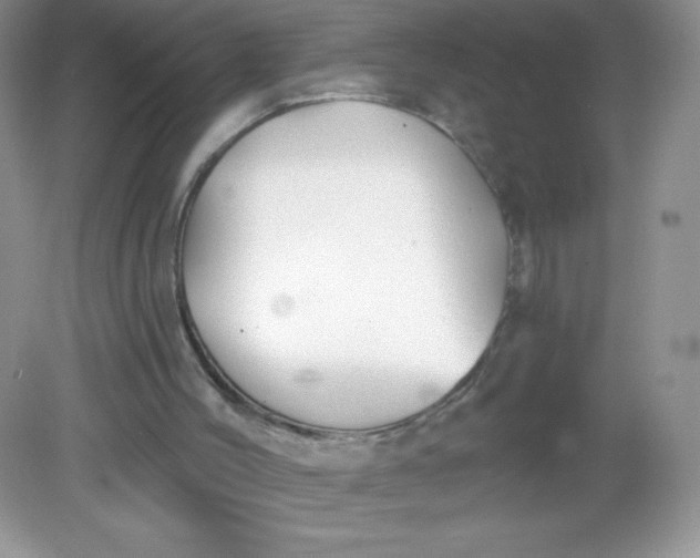 X0000082160004200702021713