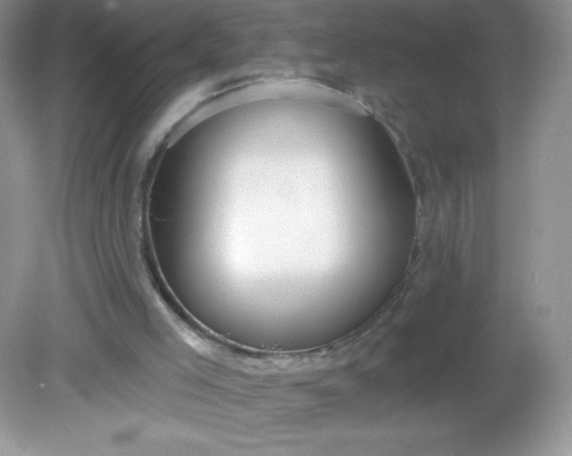 X0000082160005200702021713