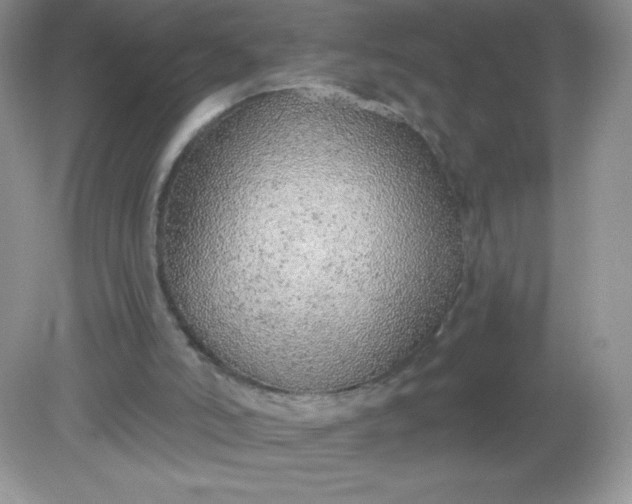 X0000082160006200702021713