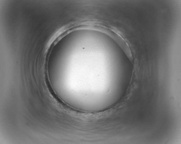 X0000082160007200702021713