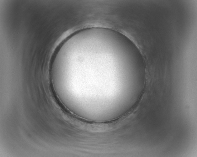 X0000082160008200702021713