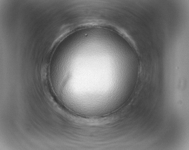 X0000082160010200702021713