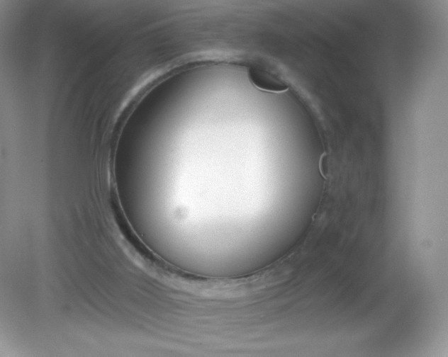 X0000082160011200702021713