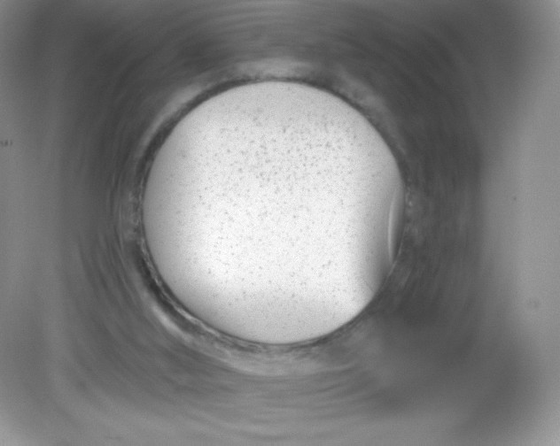 X0000082160012200702021713