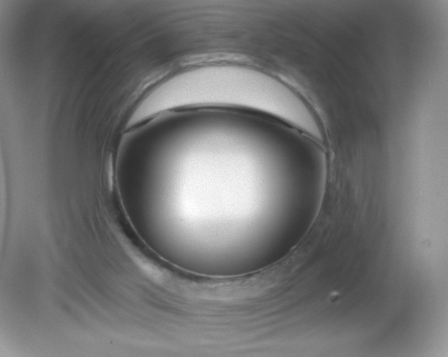 X0000082160013200702021712