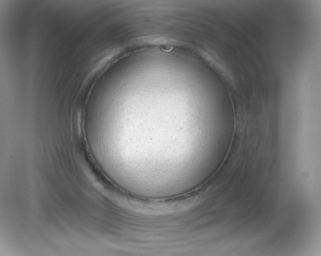 X0000082160014200702021712