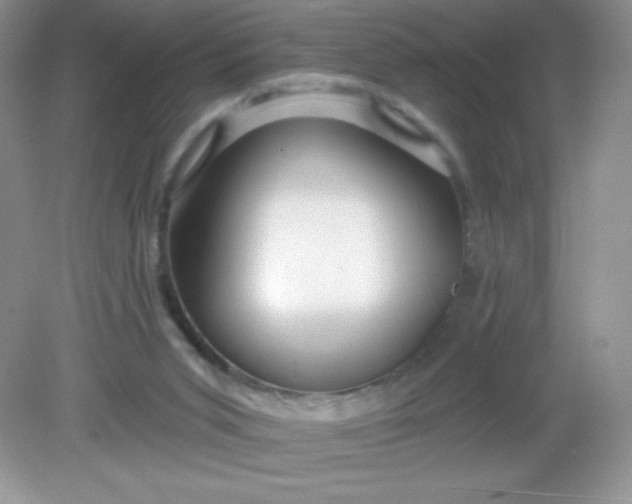 X0000082160015200702021712