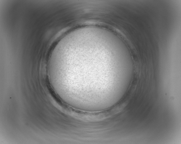 X0000082160016200702021712