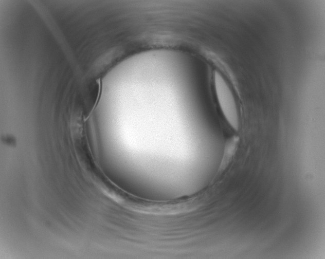 X0000082160017200702021712