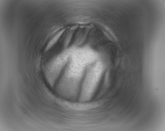 X0000082160018200702021712