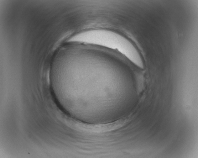 X0000082160019200702021712