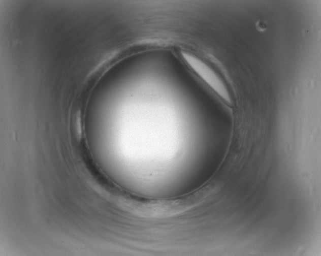 X0000082160020200702021712