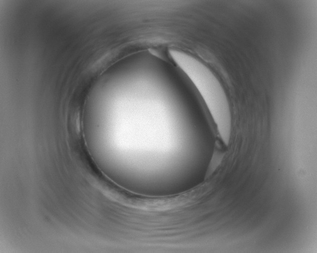 X0000082160021200702021712