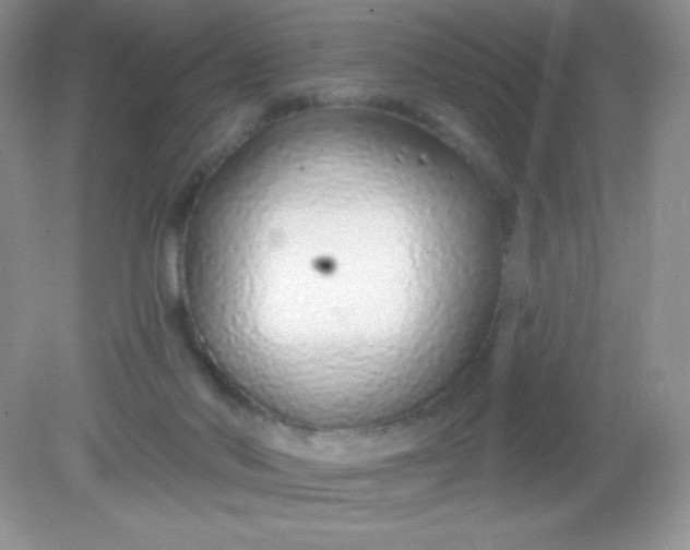 X0000082160022200702021712