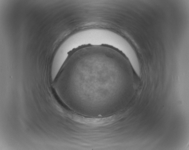 X0000082160023200702021712