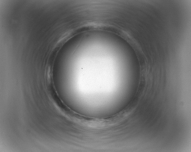 X0000082160024200702021712