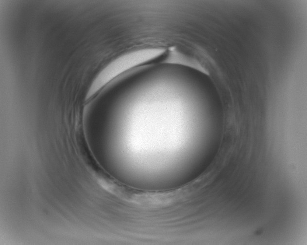 X0000082160025200702021712