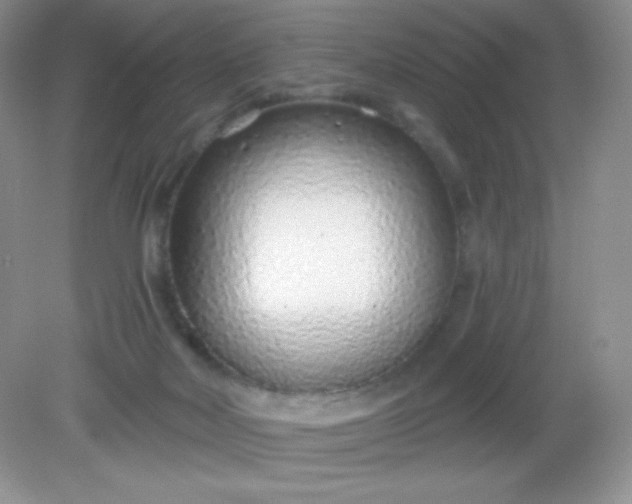 X0000082160026200702021712