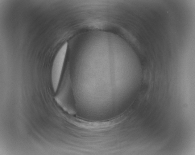 X0000082160027200702021712