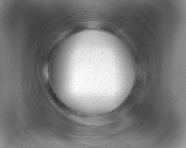 X0000082160028200702021712