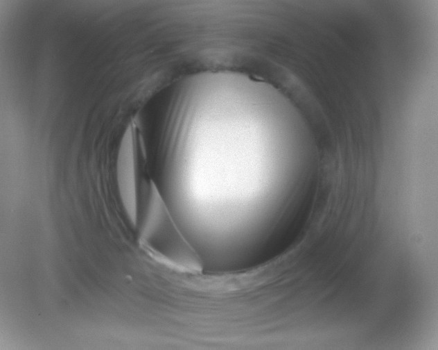 X0000082160029200702021712