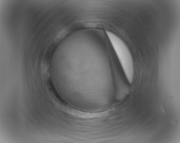 X0000082160031200702021712