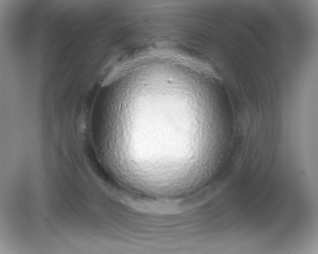 X0000082160032200702021712